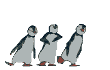 65